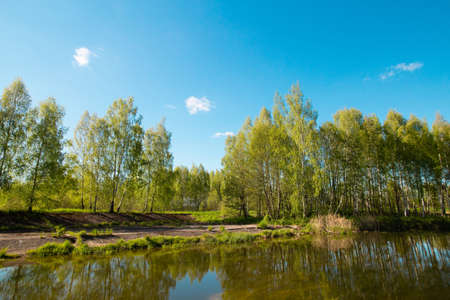 Pleasant sunny summer landscape: old blue sky and clouds, green grass and a river lake artificial channel. A happy idyllic scenery view.の写真素材