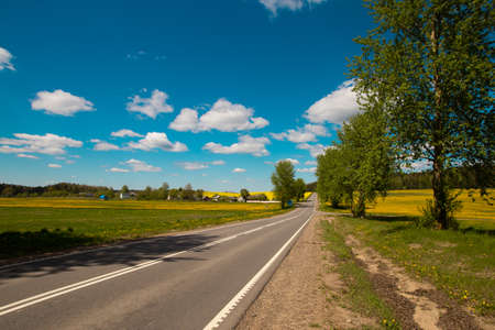 Pleasant sunny summer landscape: old blue sky and clouds, green grass, yellow dandelion rapeseed flowers on a meadow and a highway road. A happy idyllic scenery view and spirit of adventure.の写真素材