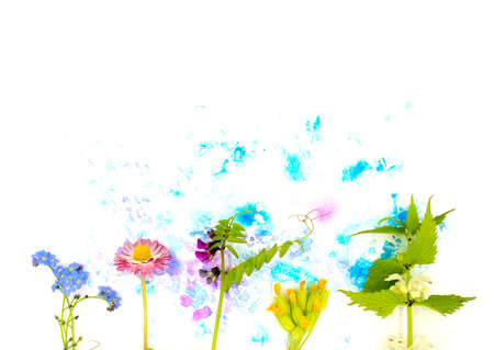 Tender spring dead-nettle, daisy, and other may flowers and hand painted blue and pink watercolor blot spot. Decor element isolated on white background, floral ornament with free copy space for text.の写真素材