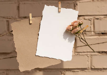 Beige tender tea-rose, brown natural craft and white paper pinned on a rustic rope in front of beige background. Free blank copy space for text. Design template for card, invitations or wedding decor.の写真素材