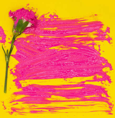 Red carnation flower and colorful wet pink gouache acrylic paint brush strokes spots on bright yellow colored paper. A background to post cards, invitation templates design, blank copy space for text.の写真素材
