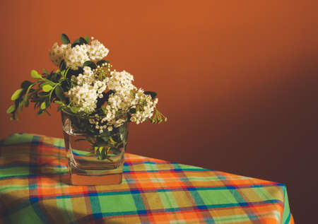 Tender white spring blossom flowers and green grass in transparent glass of water on vibrant contrast orange background. Photo with free blank copy space for text.の写真素材