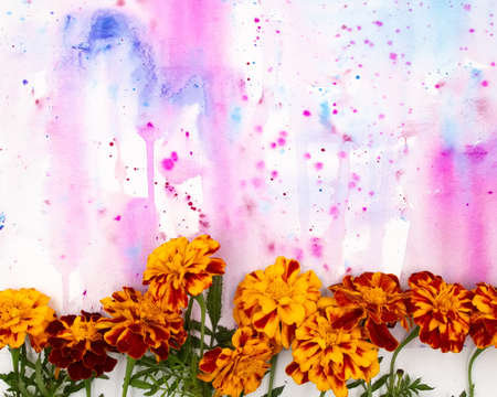 Yellow red orange autumn fall marigold calendula flowers and hand painted Purple violet watercolor blot spot on white background. Border frame photo with free blank copy space for textの写真素材