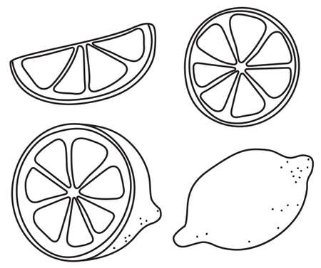 Hand-drawn doodle cartoon style vector illustration. Collection set of lemon lime orange citrus fruits For menu, farmers market design, cocktail making process illustration, cookbook decoration etcのイラスト素材