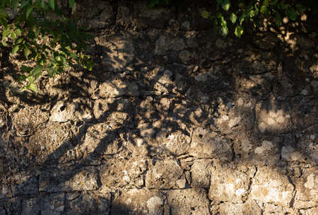 Yellow orange warm sandstone limestone wall with tree shadows and green leaves abstract background...