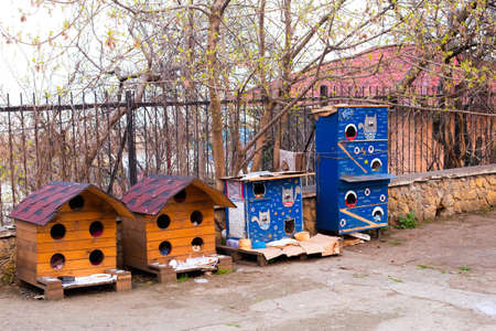 Odessa, Ukraine - 04 19 21: houses and food for homeless catsのeditorial素材