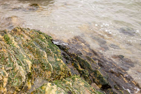 Sea wave and yellow rocks covered by green moss. Photo background with free copy space for text
