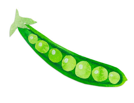 Hand-drawn watercolor papercut green peas. Bright cute kawaii kidcore style illustration, good for farmers market, supermarket products design, stickers or postcards.の写真素材