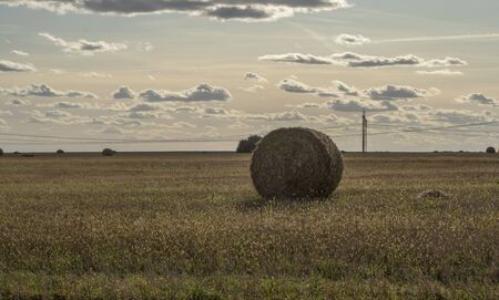 A roll of a yon on the field against a backdrop of beautiful clouds.の写真素材