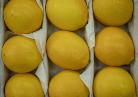 Nine lemons on the counter in the storeの写真素材