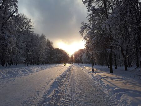 sunset over the road in the winter cityの写真素材