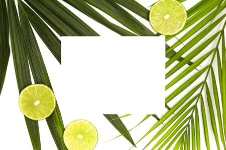 Frame for text from green palm leaf branches and citruses on a white background. Minimal style, top view, flatlay, copy space.の写真素材