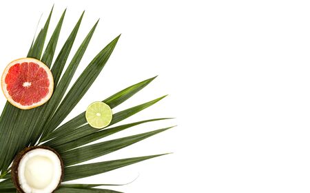 Frame for text from green palm leaf branches, citrus and coconut on a white background. Minimal style, top view, flatlay, copy space.の写真素材