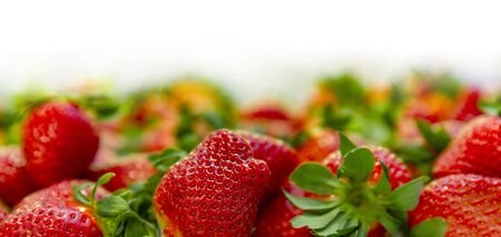 fresh red strawberry isolated on white background.の写真素材