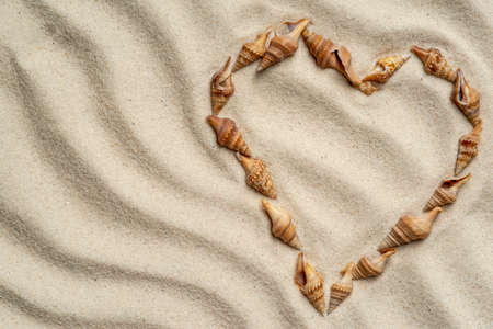 Seashells laid out in the shape of a heart on wavy sand. View from aboveの写真素材
