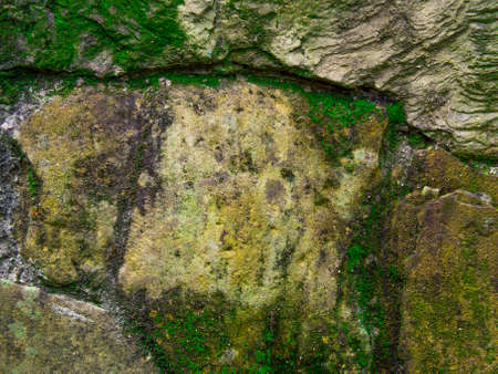 A stone wall with cracks and moss in between. Close up, texture of a wet stone wall.の写真素材