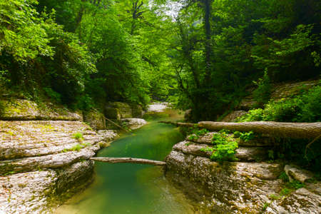Wet canyon of the Psakho river. Mountain river with blue water. Sochi, Russia. Natural backgroundの写真素材