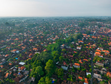 Drone view of Ubud, Bali on a sunny summer day.の写真素材