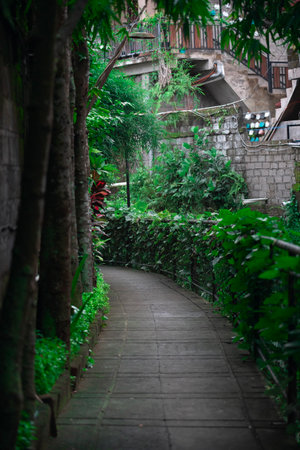 Discovering a serene pathway among lush greenery in Balis summer warmthの写真素材