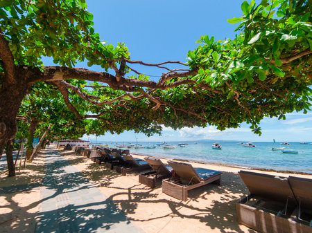 Sunny day at Sanur Beach, Bali tropical seaside relaxation under green treesの写真素材