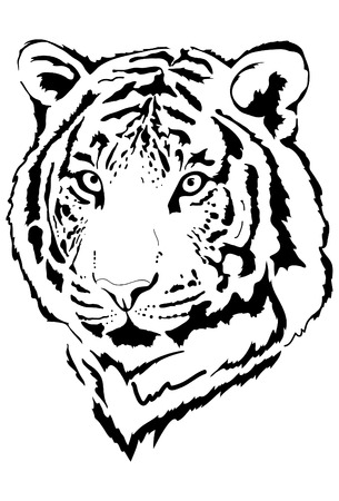 tiger head in black interpretation 3のイラスト素材