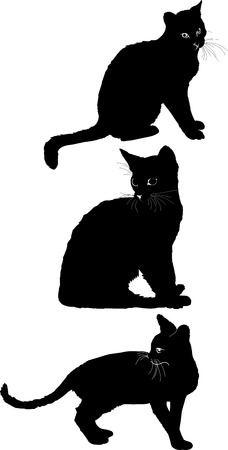 Cat set 1のイラスト素材