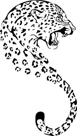 Leopard in black interpretationのイラスト素材