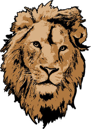 Lion head in 3 colors interpretation can be a logo or emblemeのイラスト素材