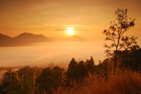 Golden Mountainの写真素材