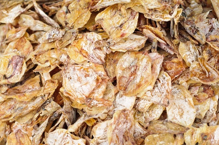 Dry Squidの写真素材