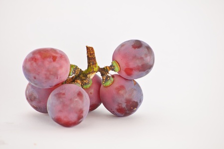 Fruit