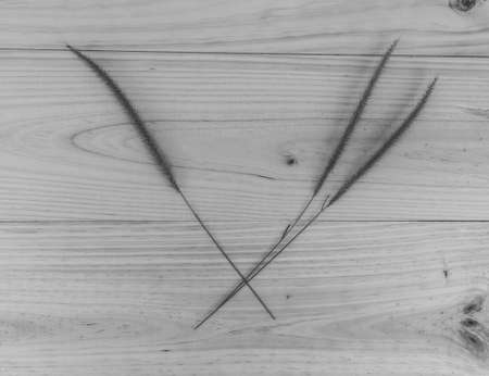 Grass flower on the wooden floorの写真素材