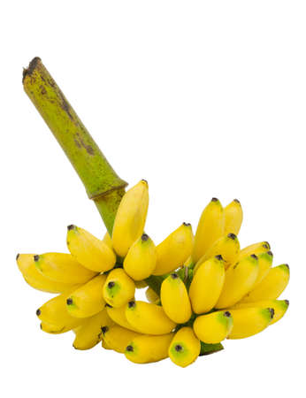 Bunch of ripe bananas isolated on white backgroundの写真素材