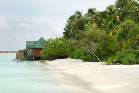 Maldivian beachの写真素材