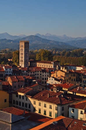 Panorama of Lucca from Guinigi Tower, Tuscany-Italy, n.2の写真素材