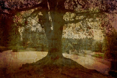 Artistic work of my own in retro style - Postcard form Italy.の写真素材