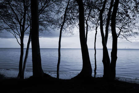 Dawn by the sea - duotone.の写真素材