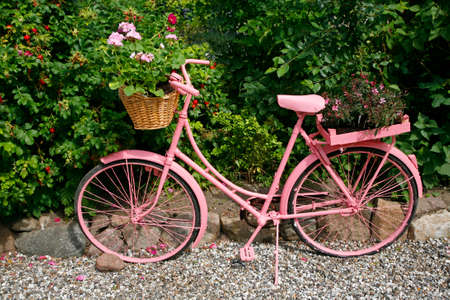 Old female bike painted pink as garden decoration - Denmark.の写真素材