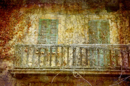 Postcard from Italy. - Withered Virginia Creeper- Piedmont.の写真素材