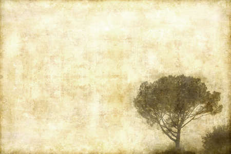 Pine tree on retro background with nice texture.の写真素材