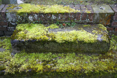 Neglected grave with moss overgrown steps - Potsdam, Germanyの写真素材