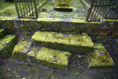 Neglected grave with moss overgrown steps - Potsdam, Germanyの写真素材