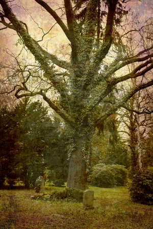 Artistic work of my own in retro style - Postcard from the former DDR. - Cemetery Potsdam Germany.の写真素材