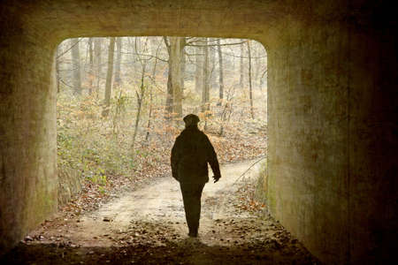 Artistic work of my own in retro style - Postcard from Denmark. - Lonely walk in the Beech forest.の写真素材