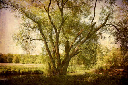 Artistic work of my own in retro style - Postcard from Denmark. - Morning by the stream.の写真素材