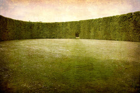 Artistic work of my own in retro style - Postcard from Denmark. - Hedges and room.の写真素材
