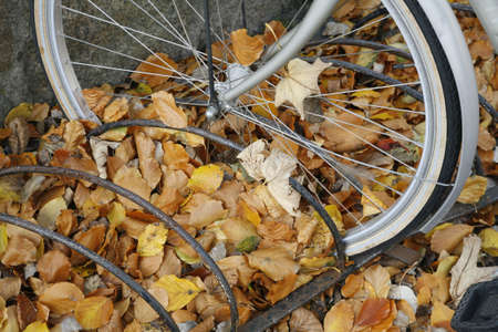 Parked bike in bicycle stand among autumn leaves.の写真素材