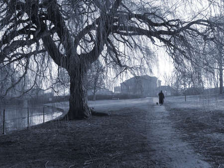 Foggy day in the park. Senior walking her dog. Duotone.の写真素材