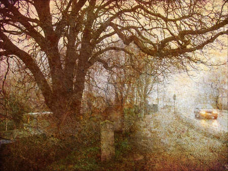Like an old Japanese print. More of my photos worked together to make a retro dreamlike look. Early...