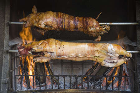 Two piglets being grilled - Croatia.の写真素材